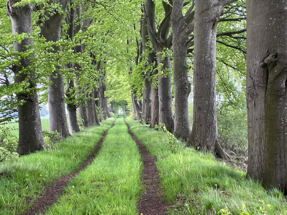 Het Riethuis Holthone Exteriör bild